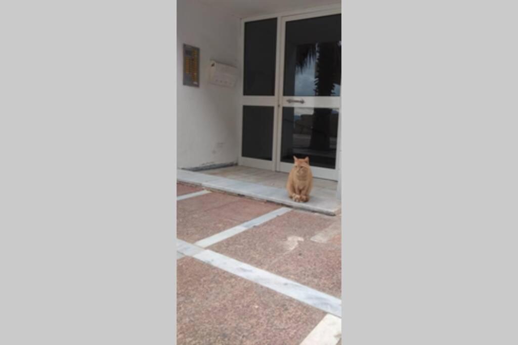 Captain'S Home Loutraki Exterior photo